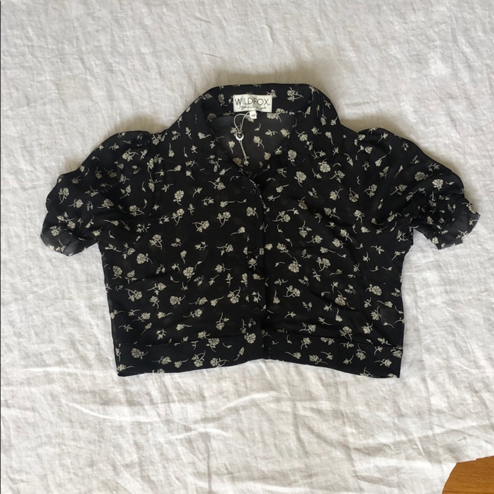 NWT Wildfox Button Down Sheer Tee